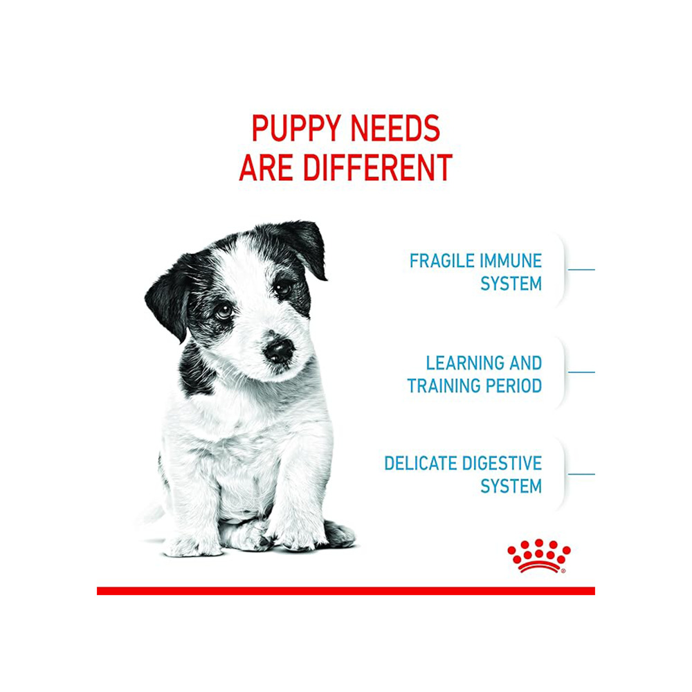 Royal Canin Mini Puppy Dog Dry Food image 3