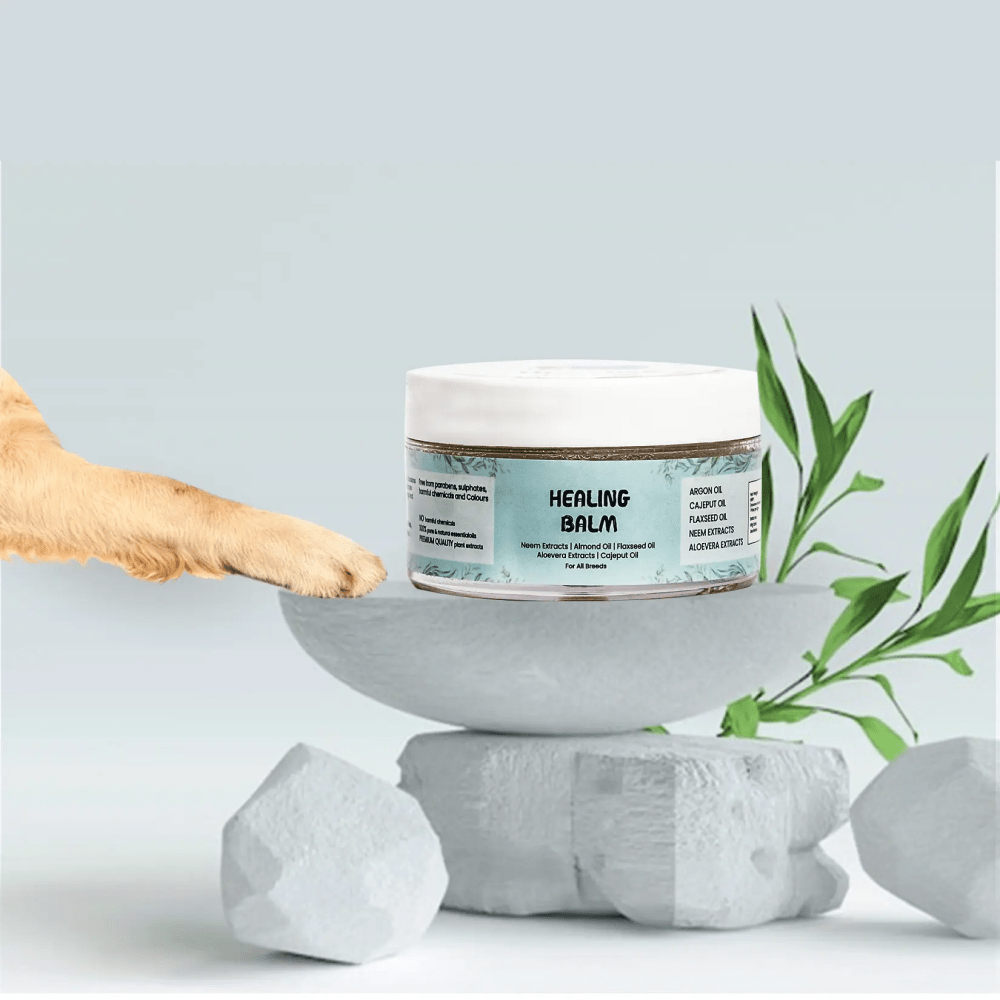 Papa Pawsome 100% Natural Healing Balm for Dog image 3