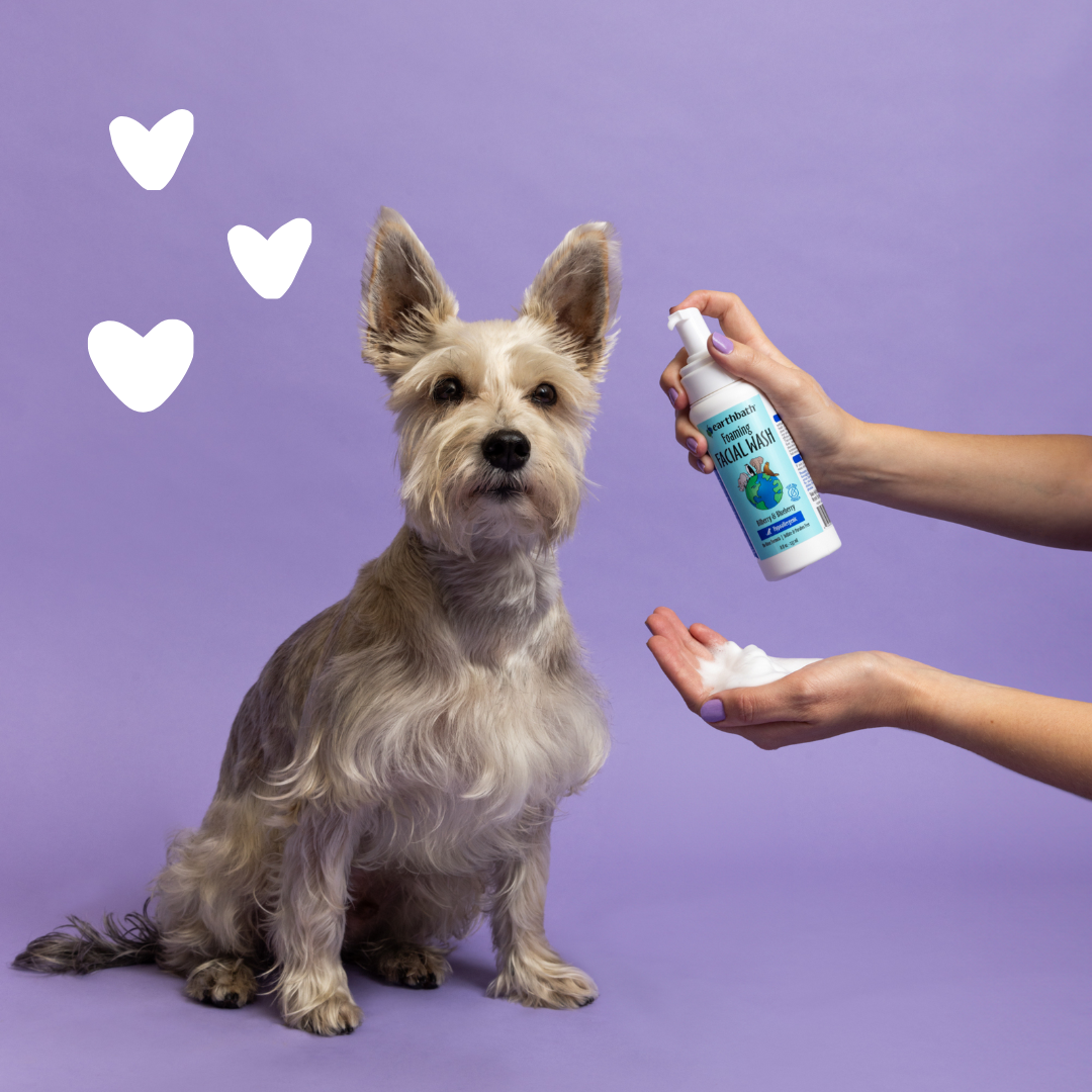 EarthBath Bilberry and Blueberry Scented Foaming Face Wash for Dogs and Cats image 6