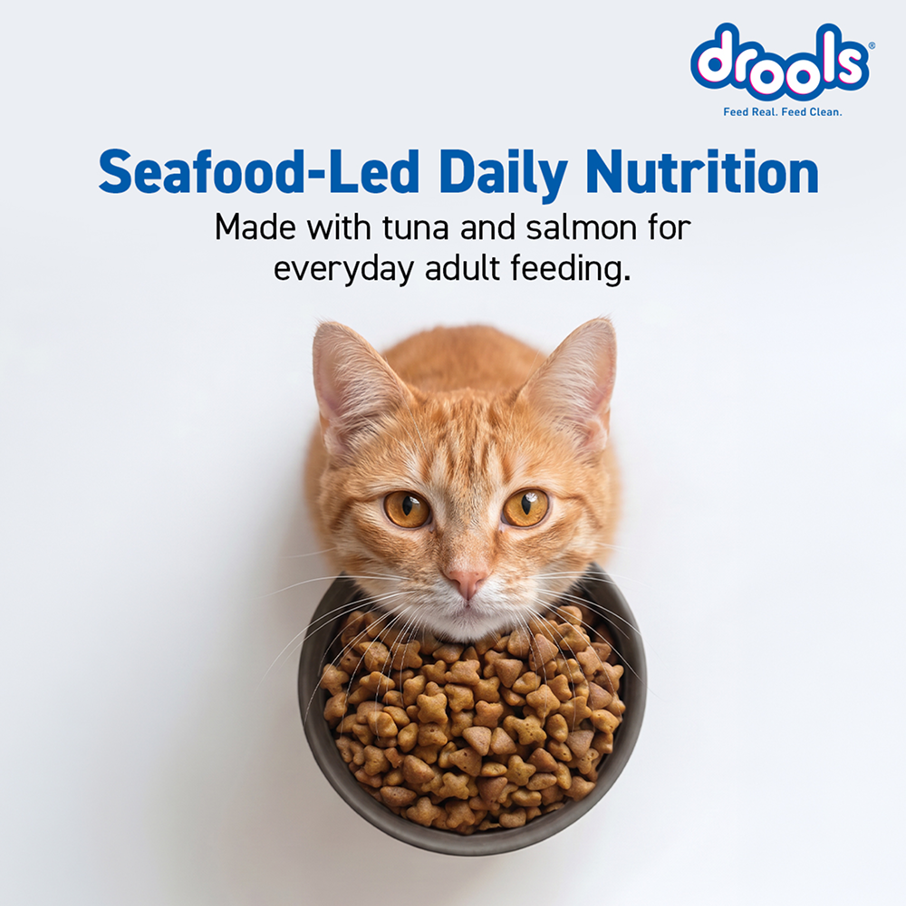 Drools Tuna & Salmon Adult Dry Cat Food image 8