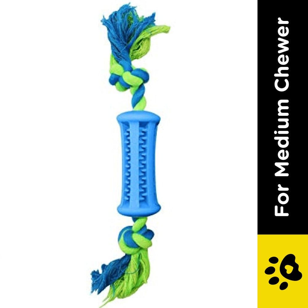 Emily Pets Toothbrush Stick Dental Care Toy with Rope for Dogs (Blue) image 2