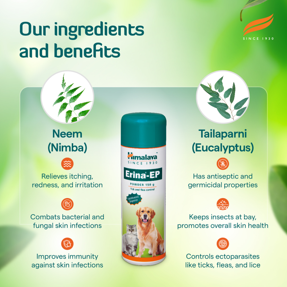 Himalaya Erina EP Flea and Tick Powder for Dogs and Cats image 3