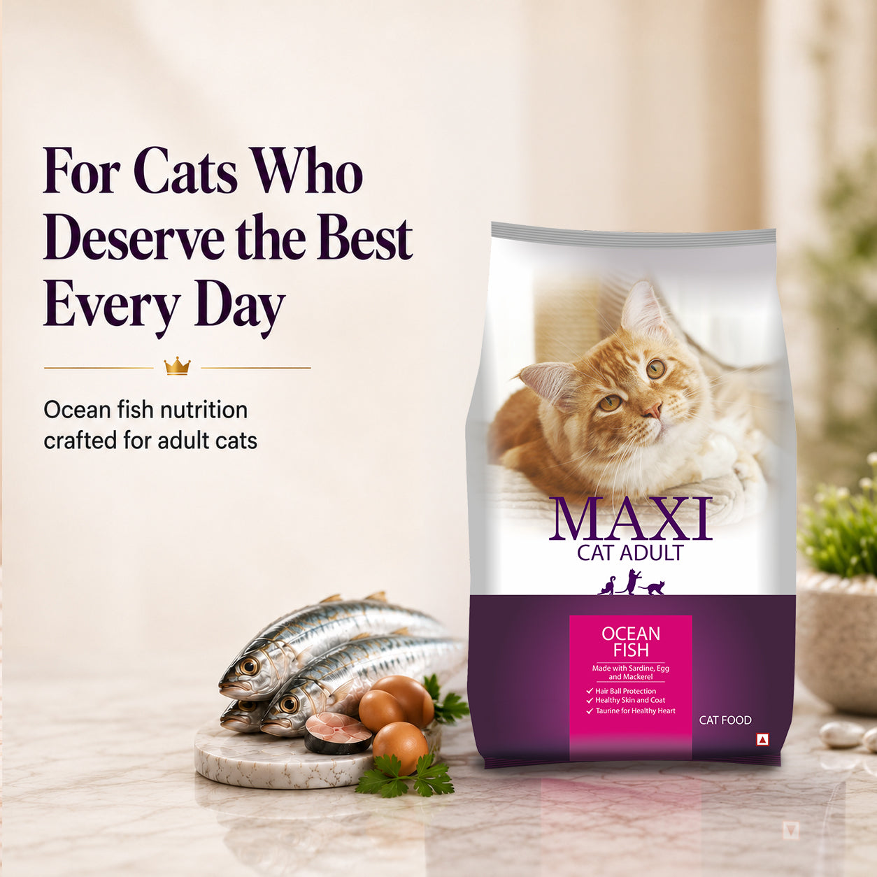 Maxi Adult Ocean Fish Adult Dry Cat Food image 4