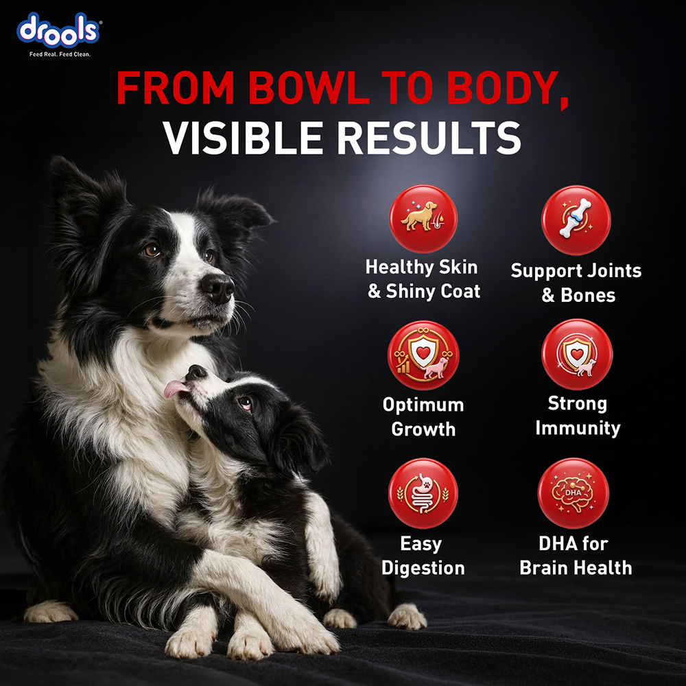 Drools Focus Super Premium Starter Dog Dry Food | Corn & Wheat Free Formula image 8
