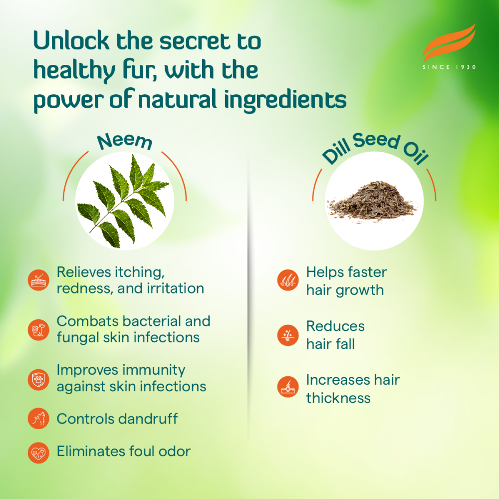 Himalaya Erina Coat Cleanser Shampoo for Dogs and Cats image 5