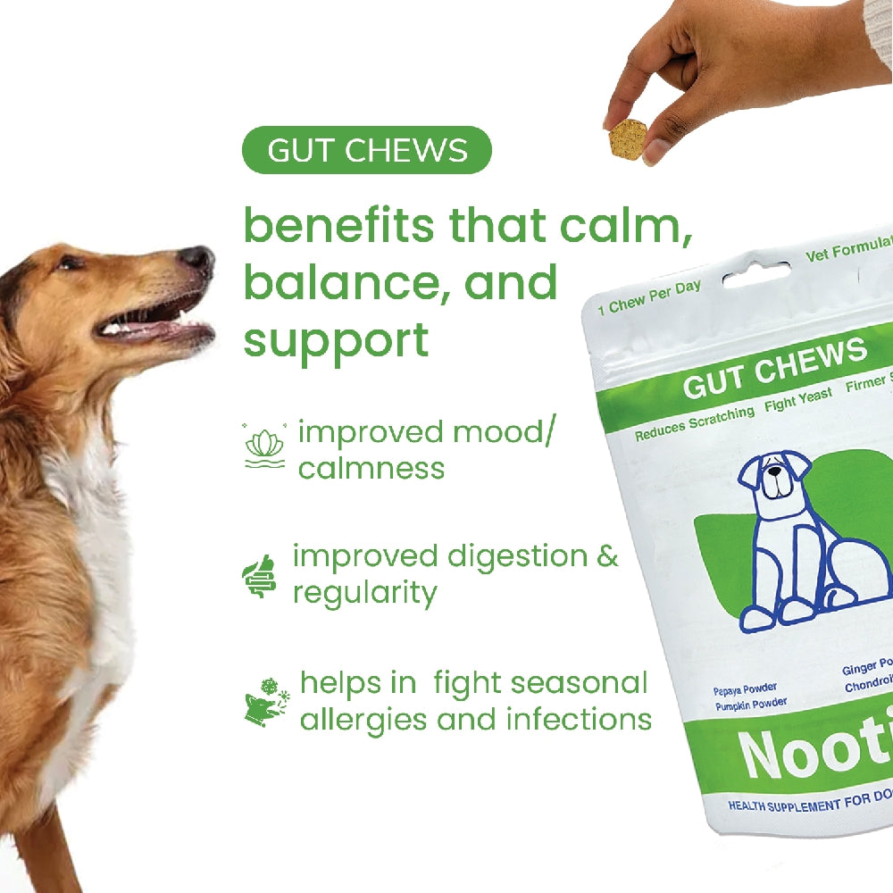 Nootie+ Digestive & Probiotic Gut Chew Supplement for Dogs image 2