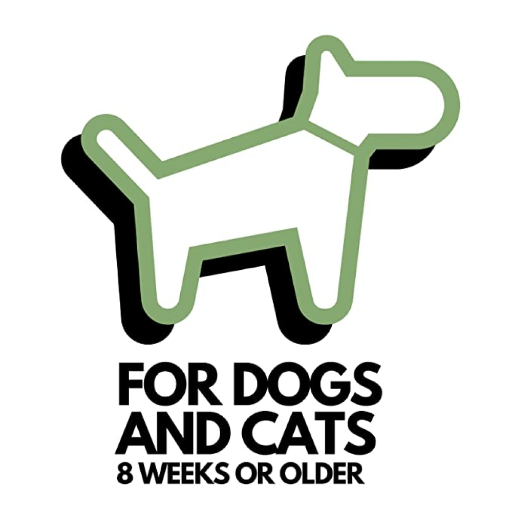 DOGZ & DUDEZ Dry Shampoo for Dogs and Cats image 6