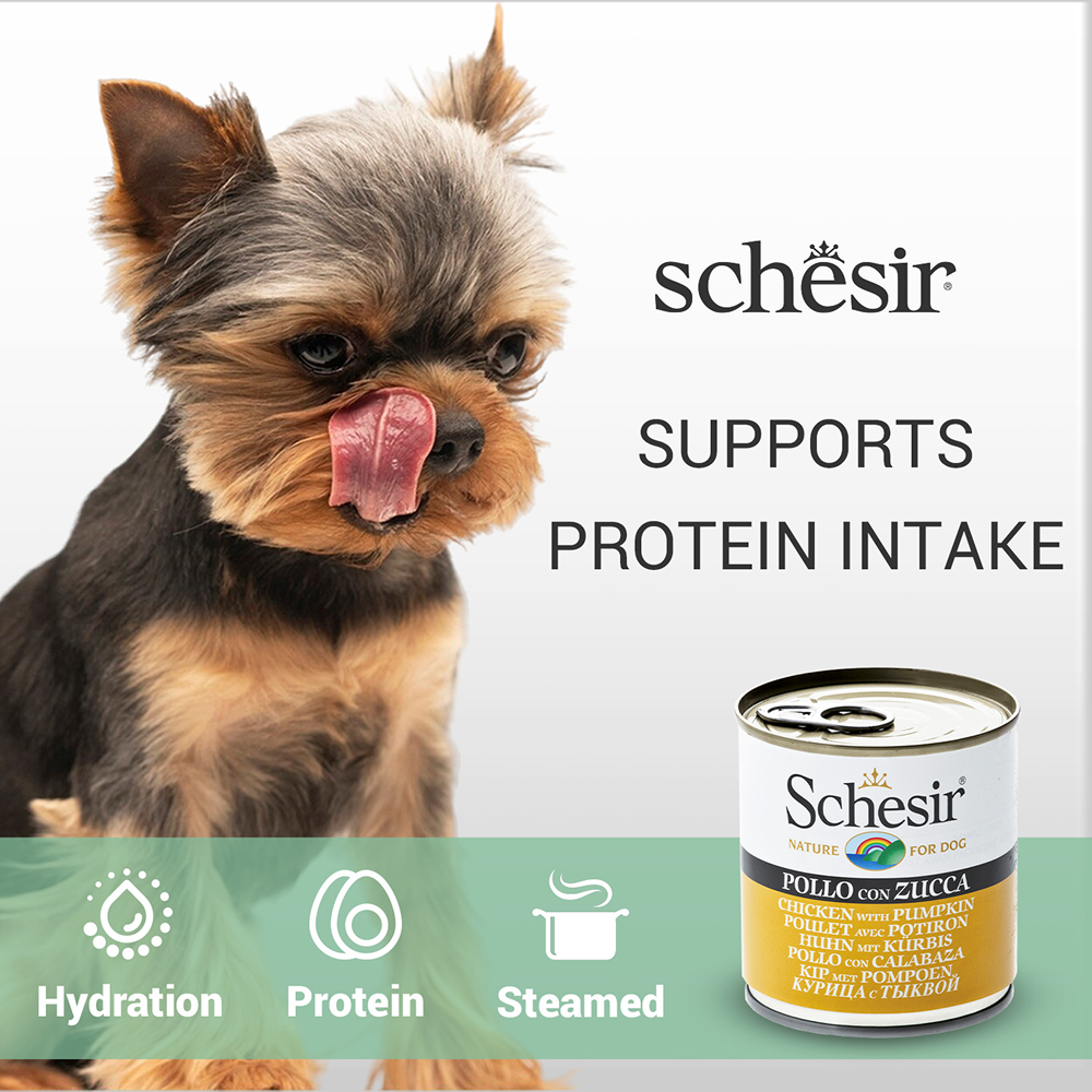 Schesir Chicken & Rice with Pumpkin in Jelly Dog Wet Food image 4