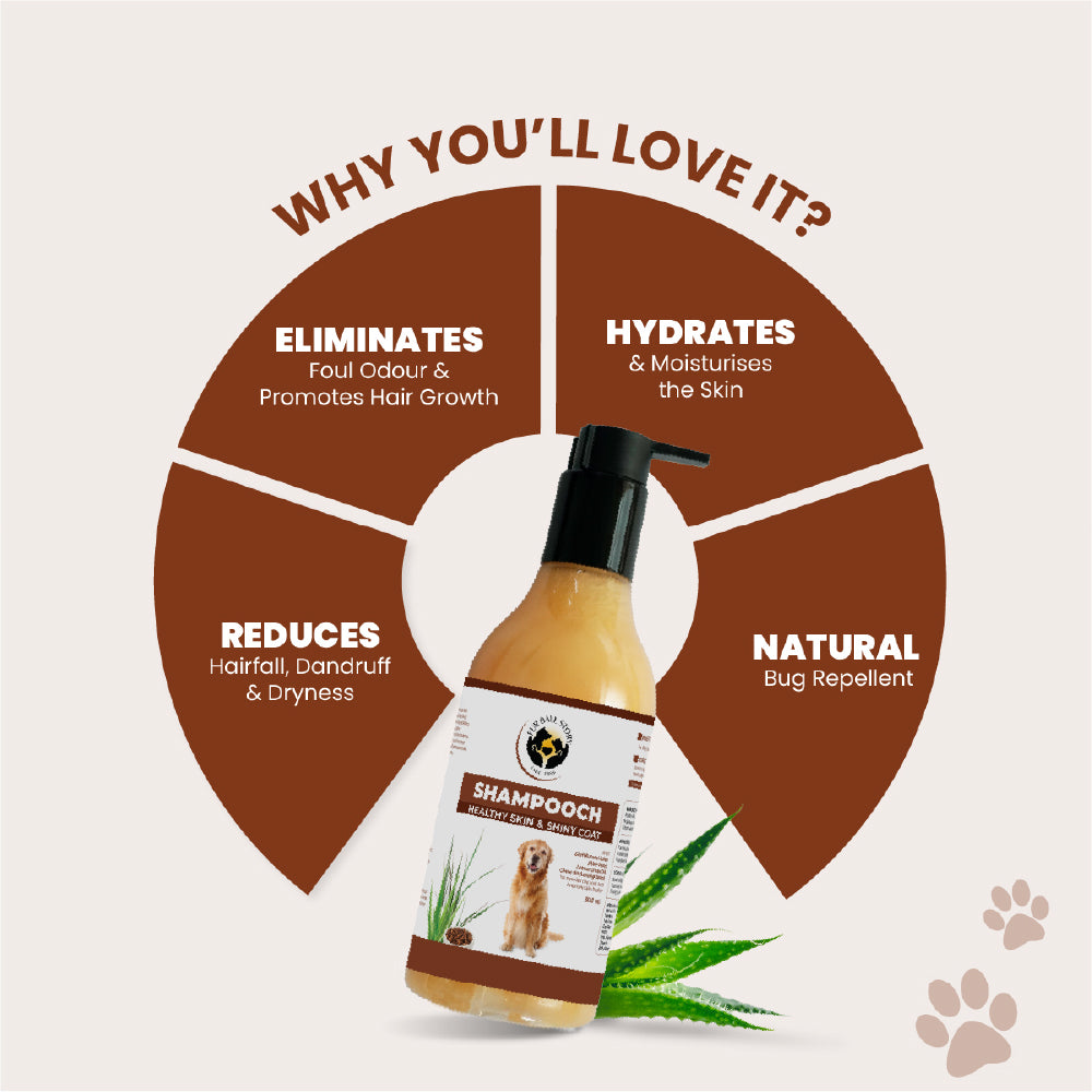 FurBall Story Shampooch Healthy Skin & Shiny Coat Shampoo for Dogs image 5