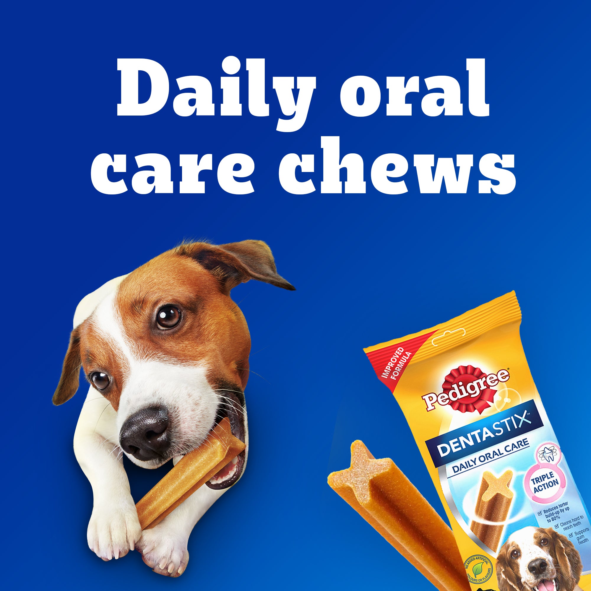 Pedigree Dentastix Oral Care for Adult (Medium Breed of 10 to 25 kg) Dog Treats image 4