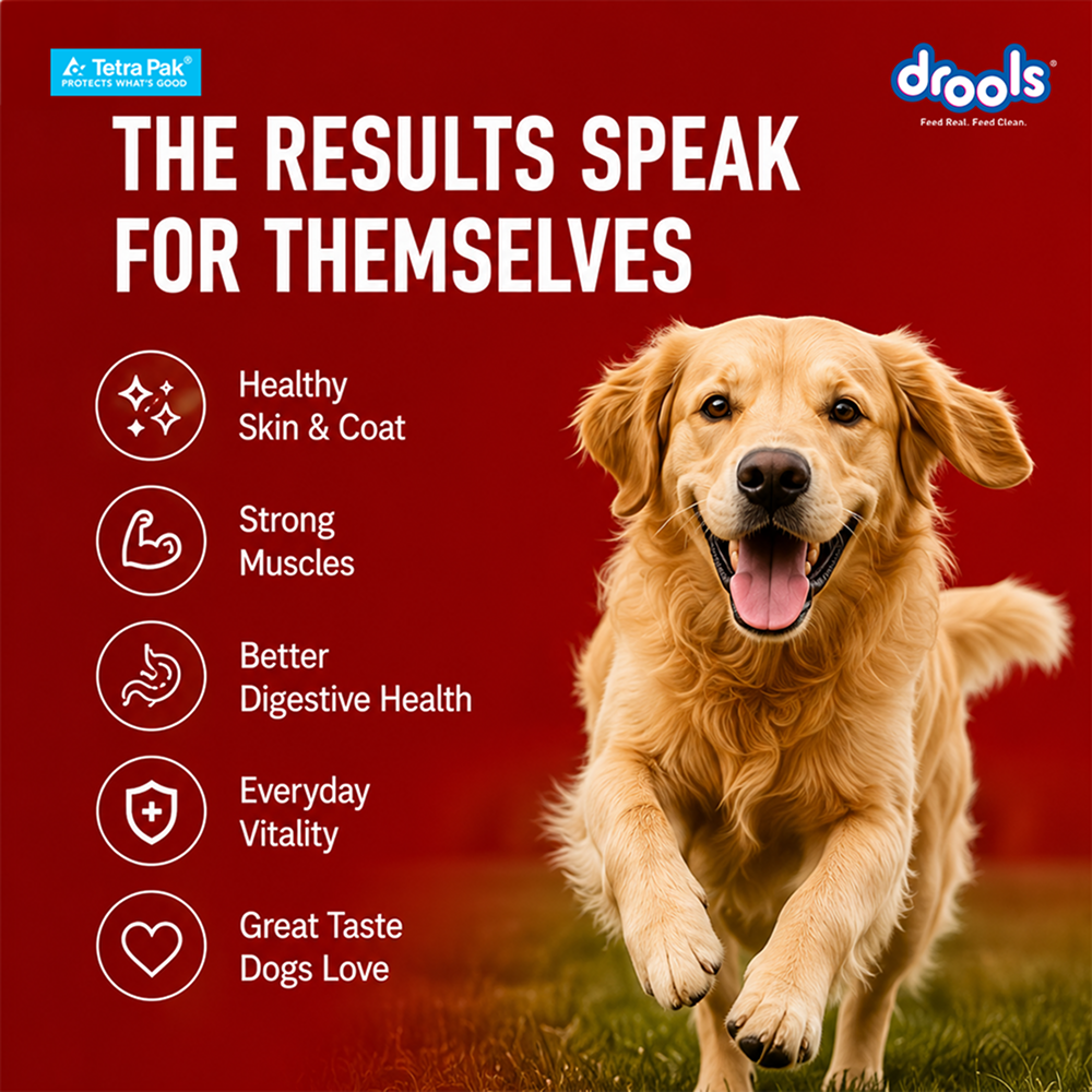 Drools Tetra Pack Real Chicken Biryani Dog Fresh Food image 9