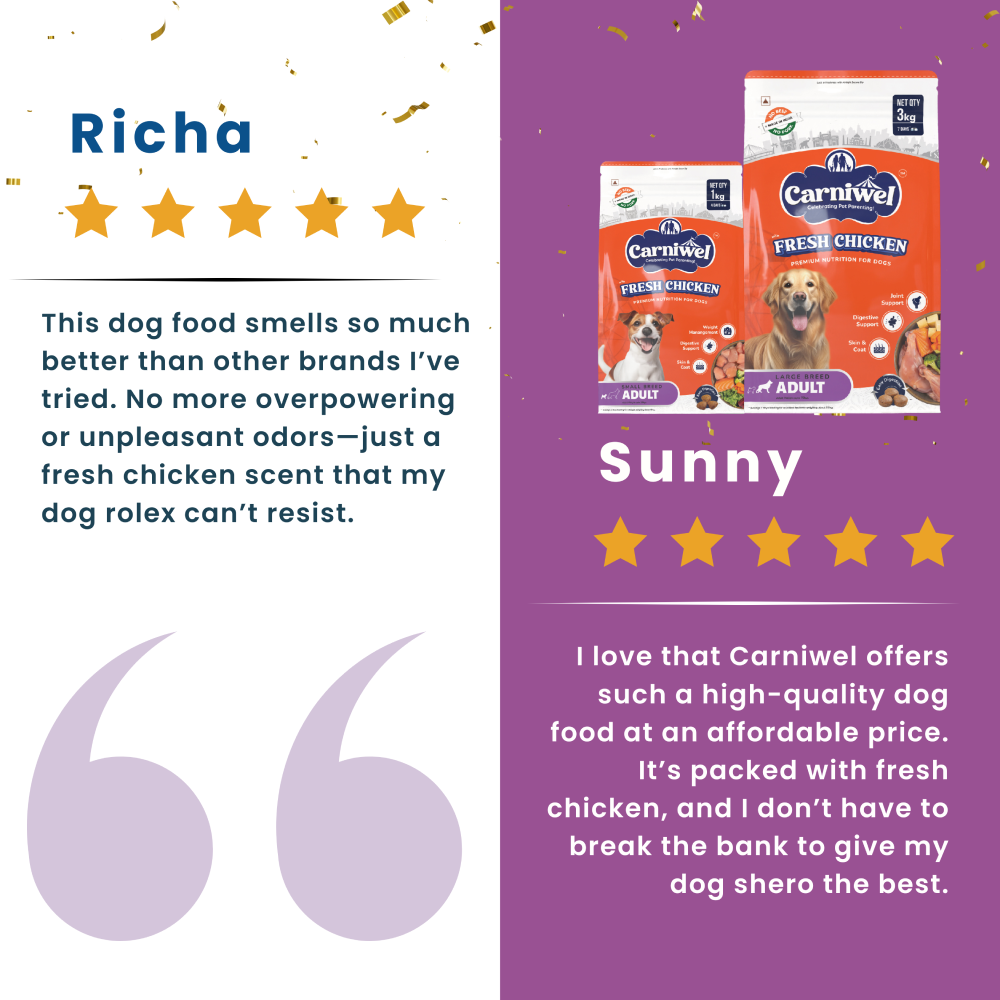 Carniwel Fresh Chicken Kibble Large Breed Adult Dog Dry Food image 10
