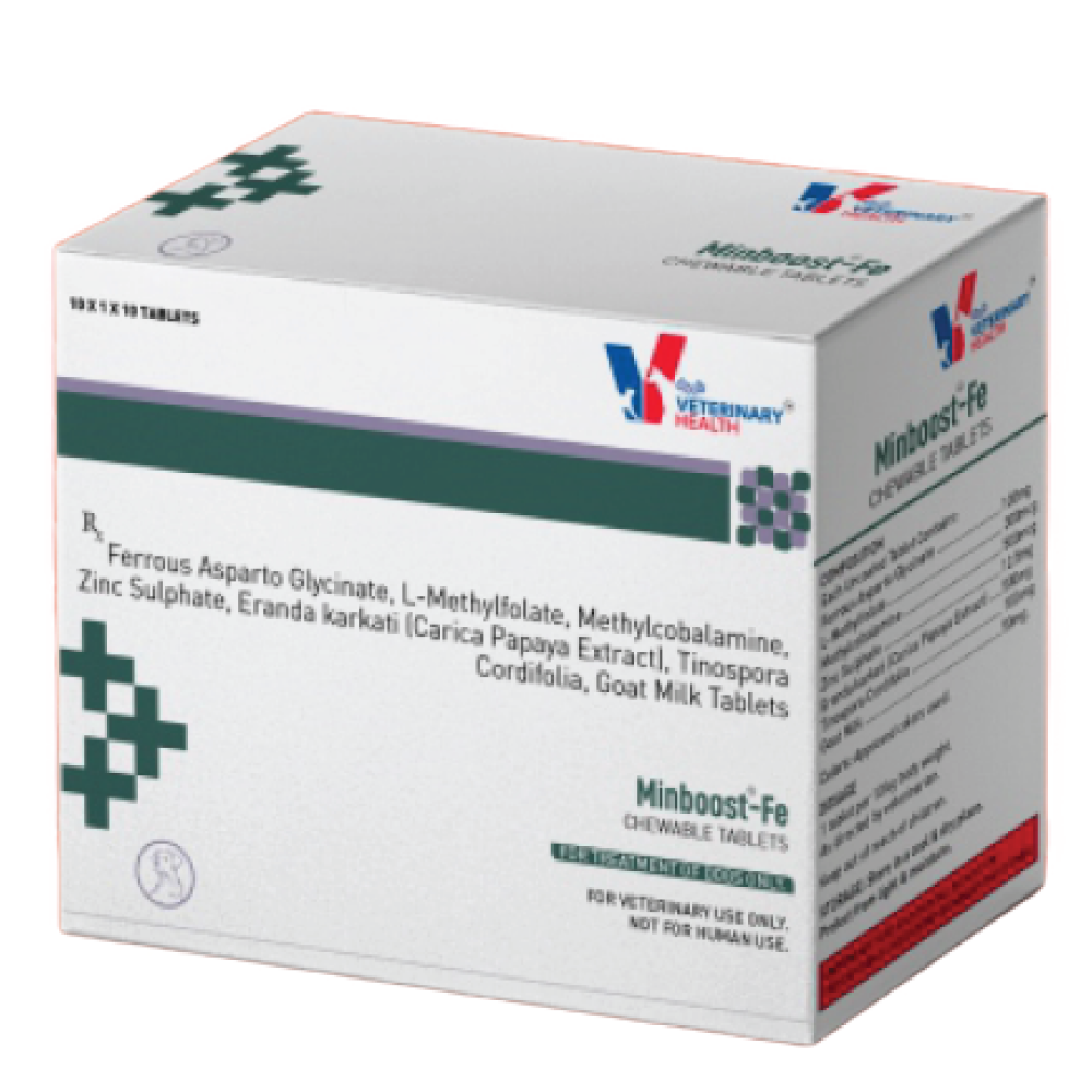 Drools Minboost Fe Tablets Supplement for Dogs