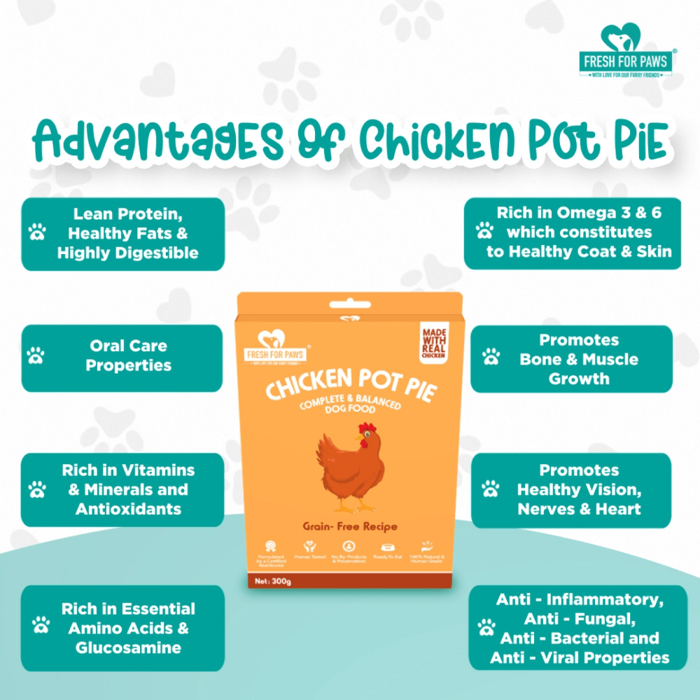 Fresh For Paws Chicken Pot Pie Wet Food for Dogs (100g) image 6
