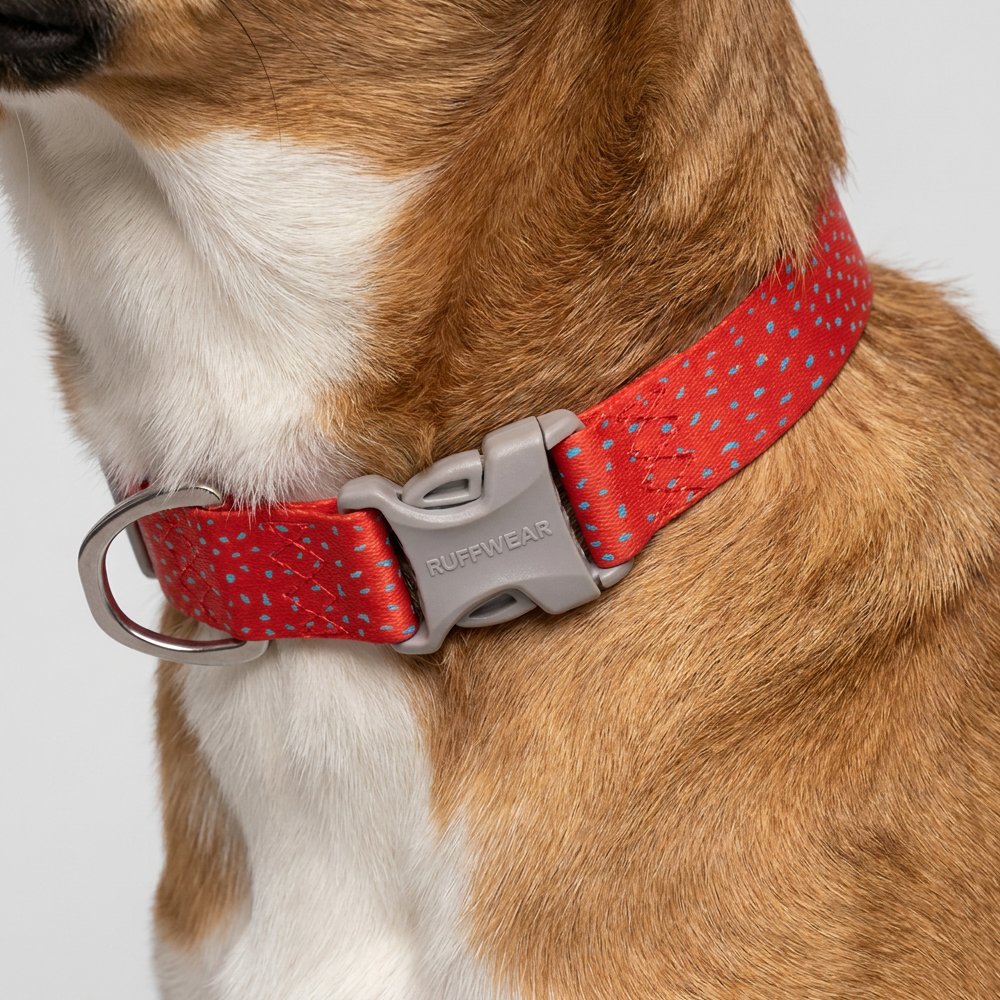Ruffwear Confluence Waterproof Collar for Dogs (Red Sumac) image 7