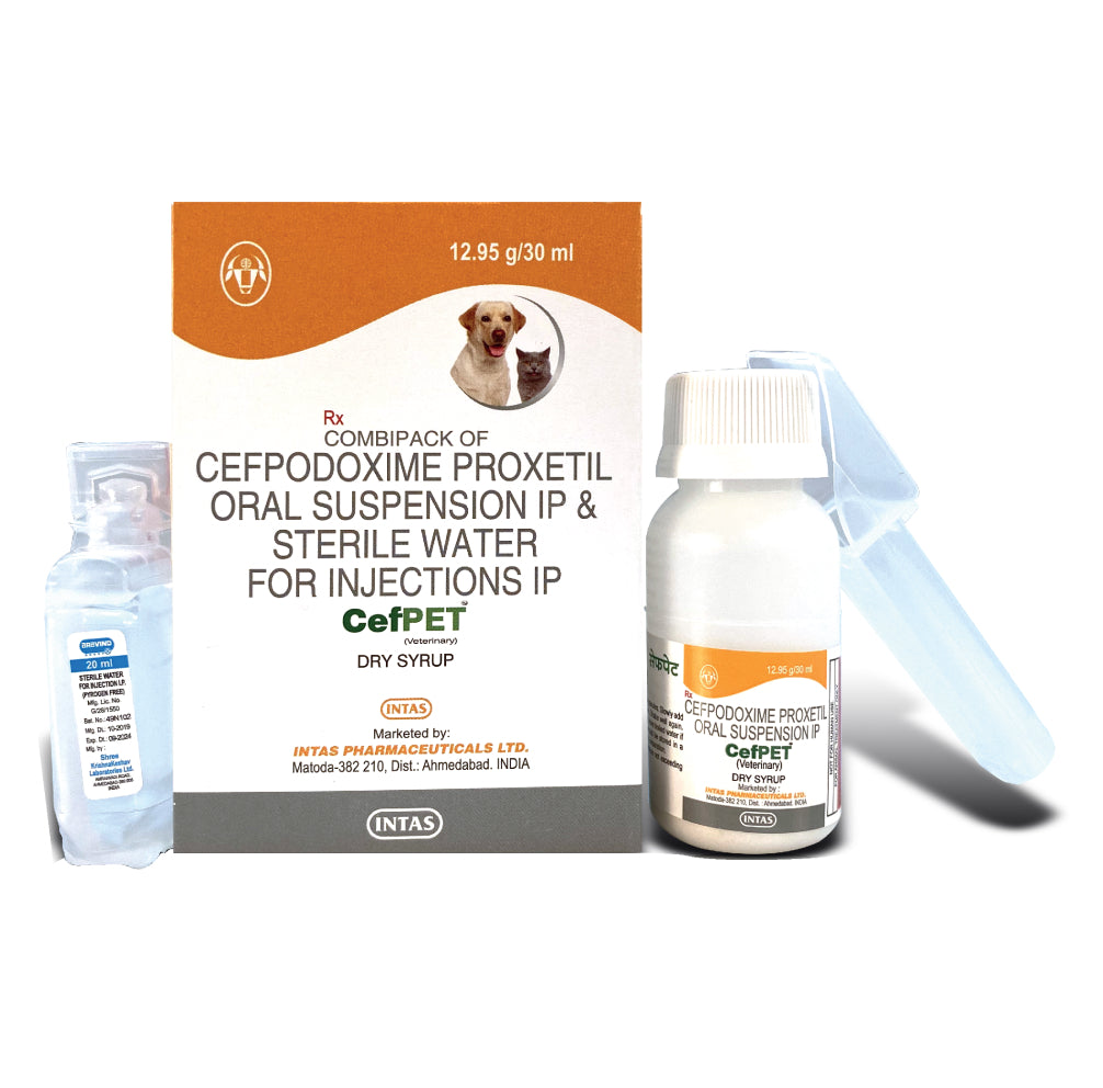 Intas Cefpet Dry Syrup (Cefpodoxime Proxetil) for Dogs and Cats (30ml) image 2