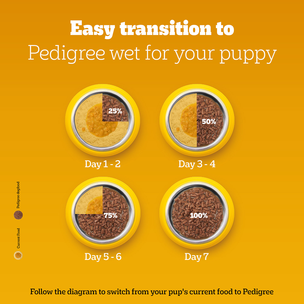 Pedigree Meat & Milk Puppy Dry Food image 5