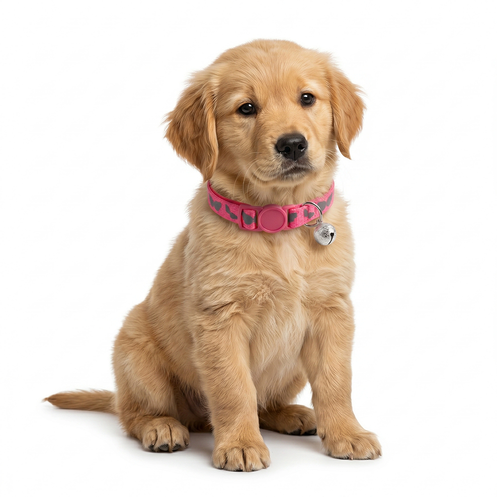 Basil Printed Collar for Cats & Puppies (Pink) image 2