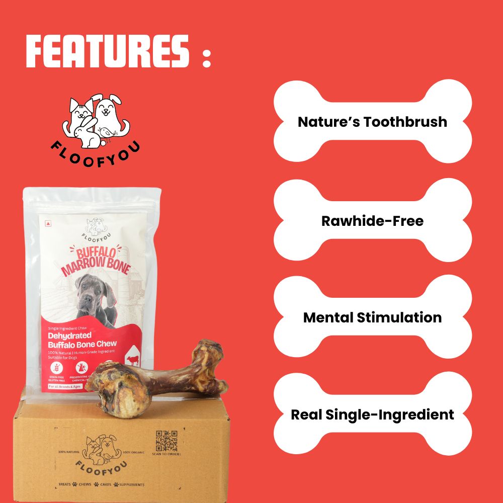 FloofYou Air Dried Buffalo Marrow Bone Chew Dog Treats image 3