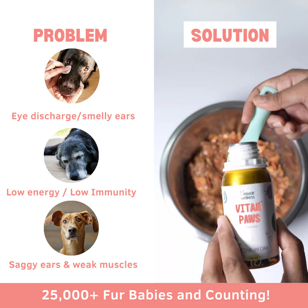 Unleash Wellness Vitam Paws Multivitamin Supplement for Dogs and Cats image 2