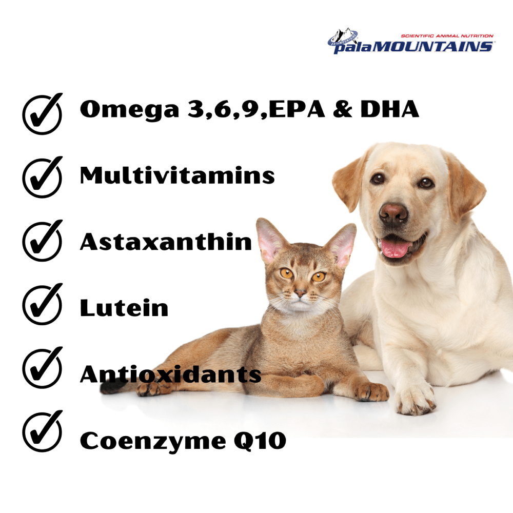 My Beau Vision & Optics Health Supplement for Dogs and Cats image 2