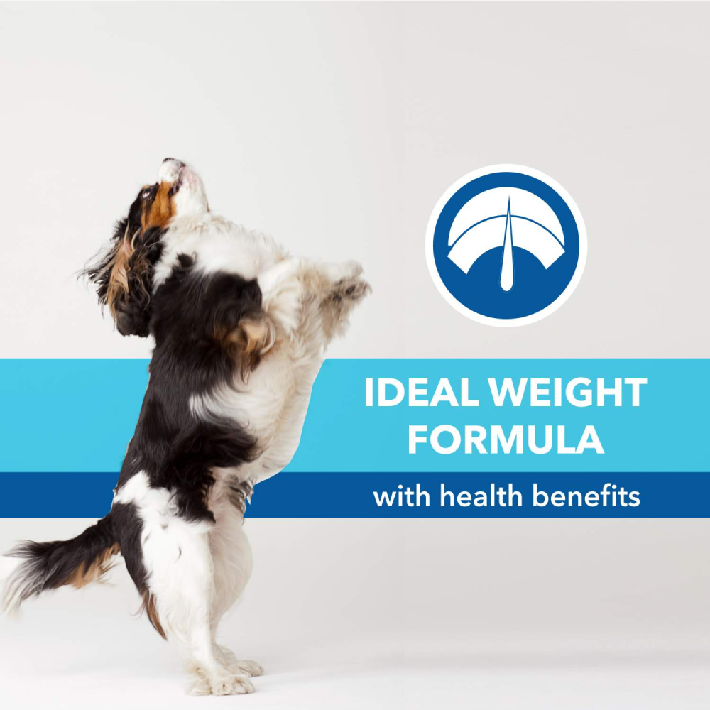 Purepet Chicken & Vegetable Puppy Dog Dry Food image 3
