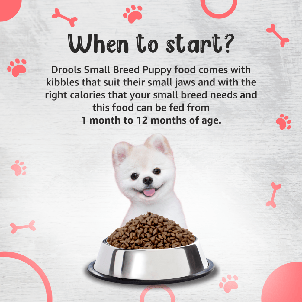 Drools Premium Small Breed Puppy Dog Dry Food image 5