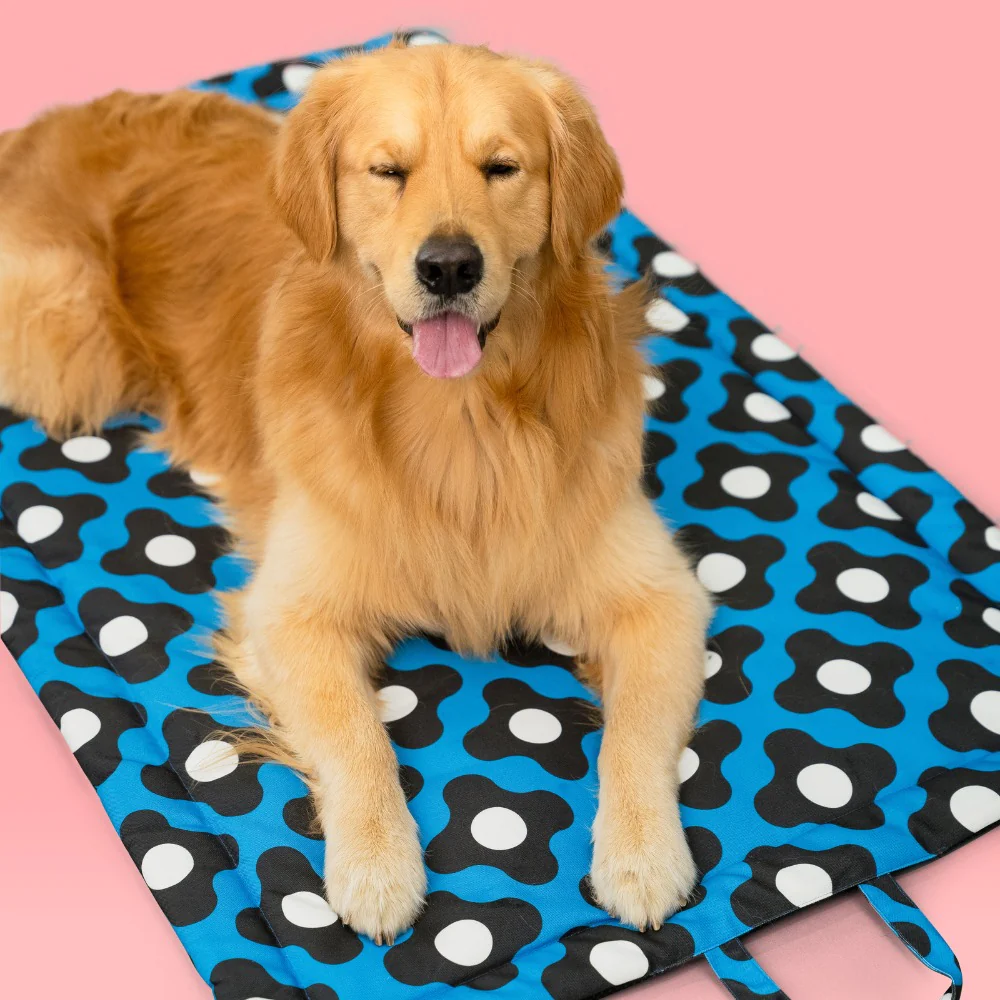 Pet Set Go Bliss Mat for Dogs and Cats (Blue) image 8