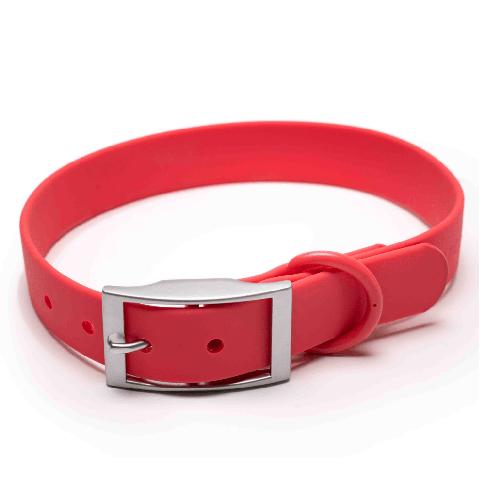 Furry & Co Weatherproof Collar for Dogs (Coral Red) image 5