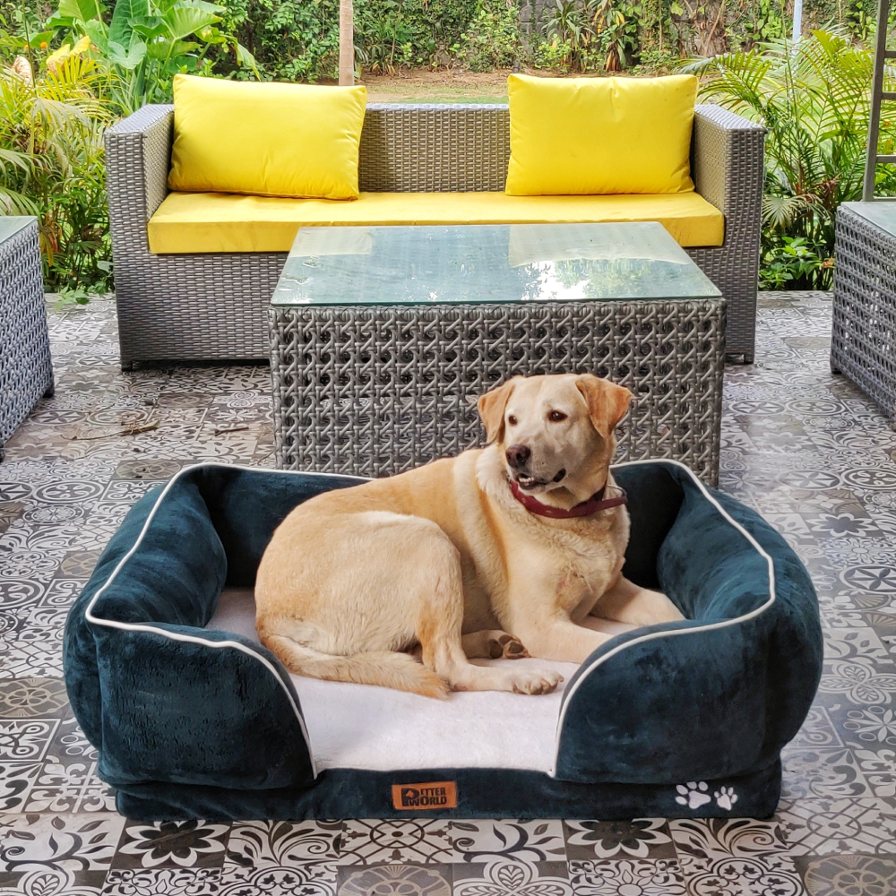 Petter World Convoluted & HD Foam Base with Bolster Orthopedic Sofa Bed for Dogs and Cats (Bottle Green) image 3