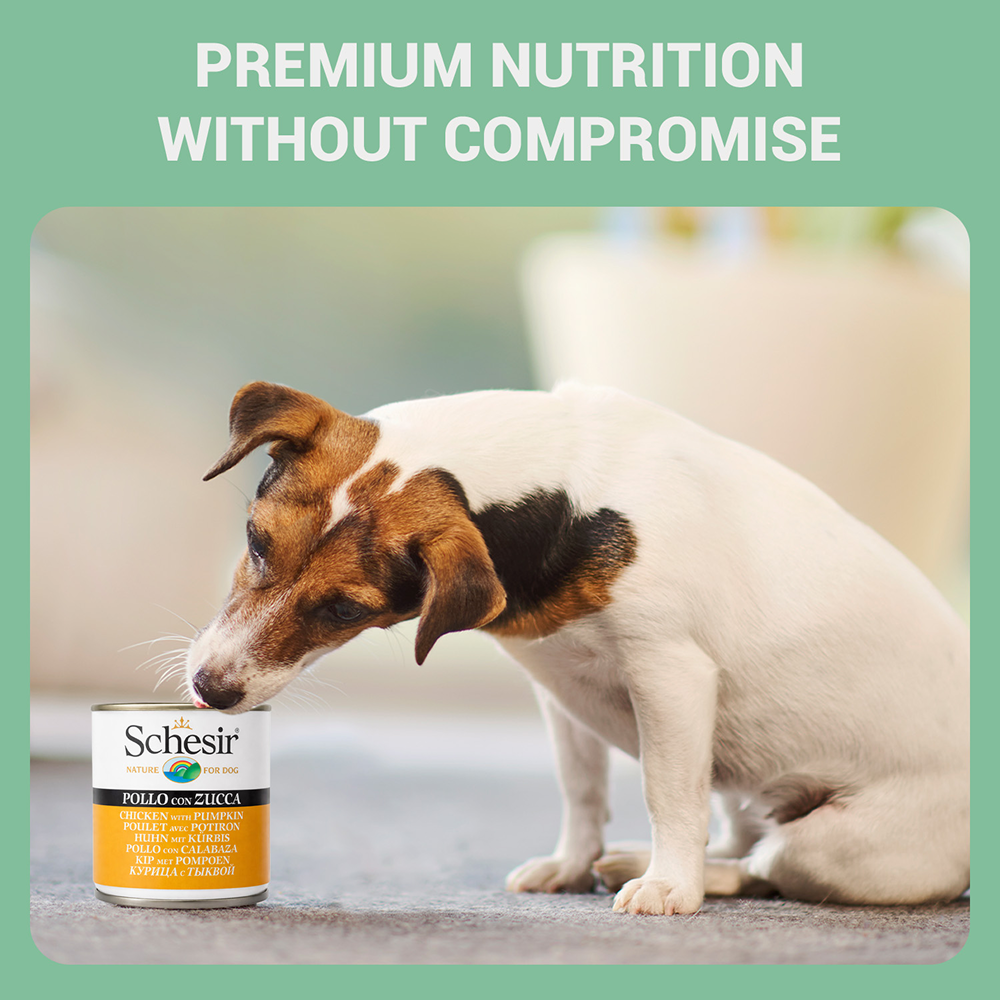 Schesir Chicken & Rice with Pumpkin in Jelly Dog Wet Food image 5