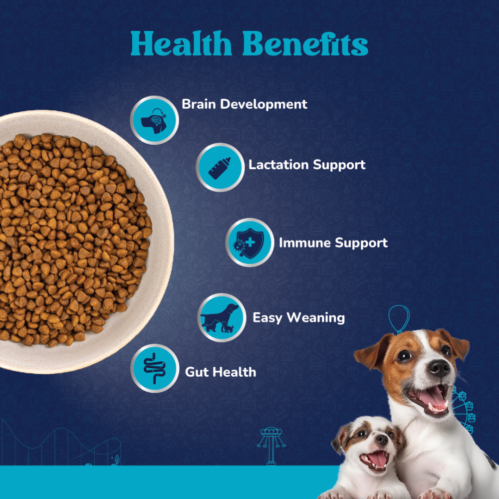 Carniwel Fresh Chicken Kibble Starter For Small Breed Mother & Baby Dog Dry Food image 3