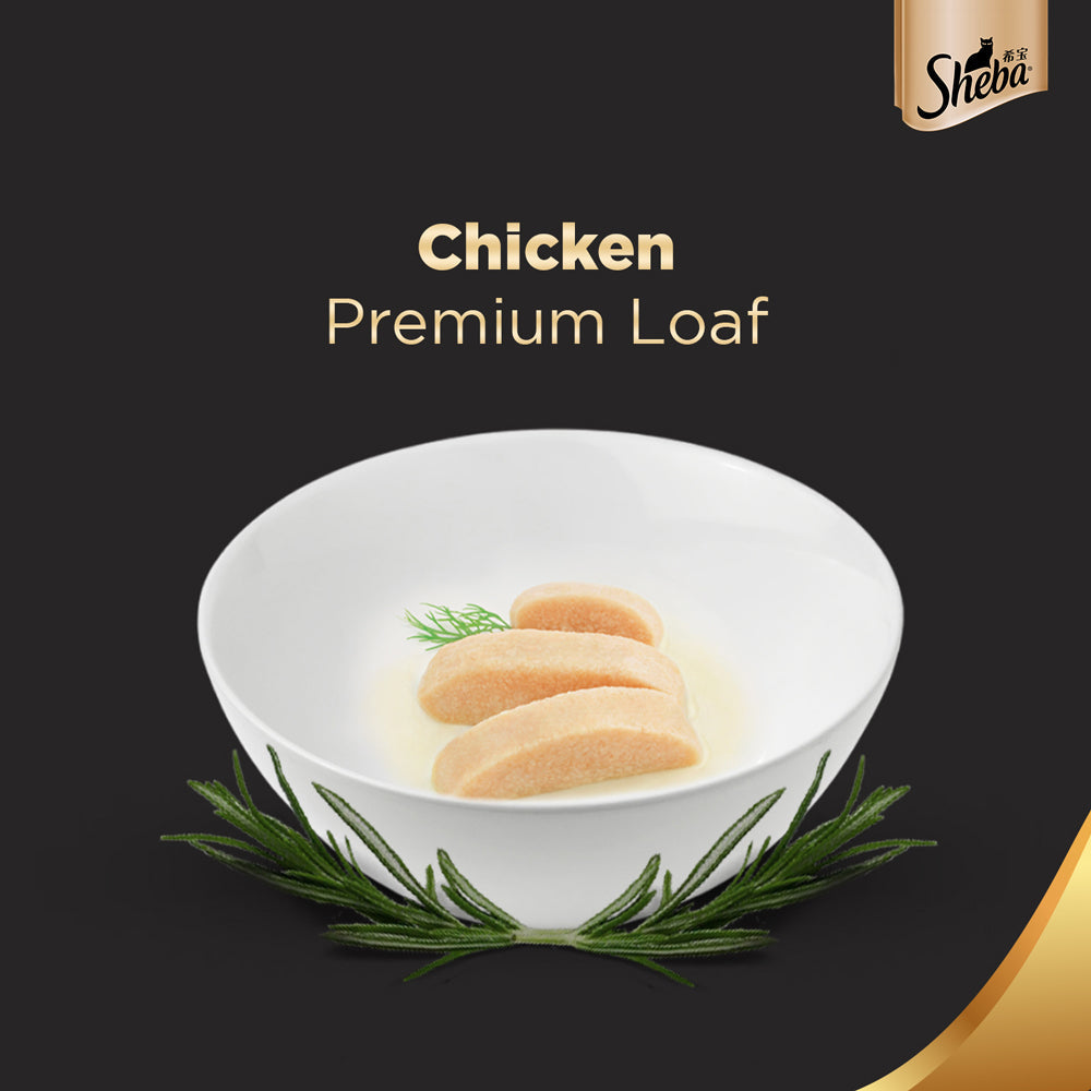 Sheba Chicken Loaf Rich Premium Adult Fine Wet Food and Salmon All Life Stage Cat Dry Food Combo image 8