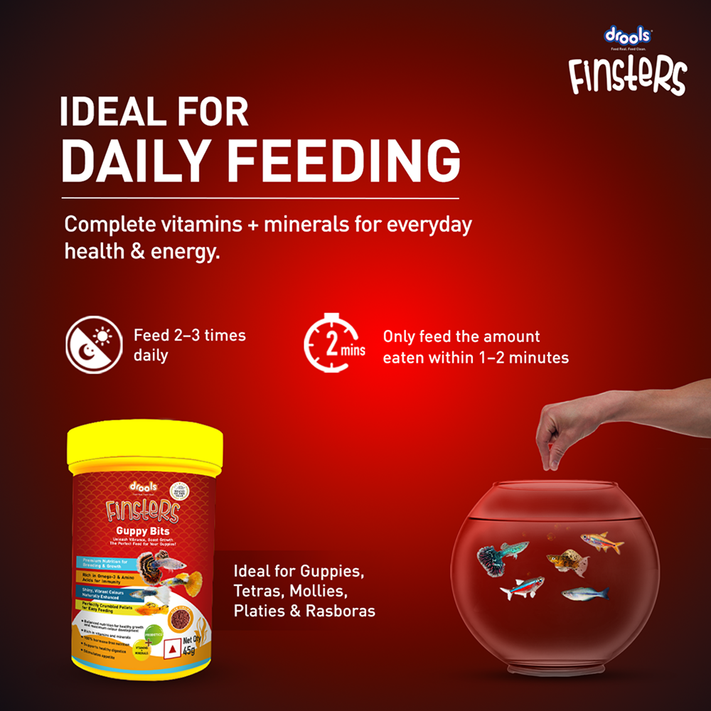 Drools Finsters Guppy Bits Fish Food image 10