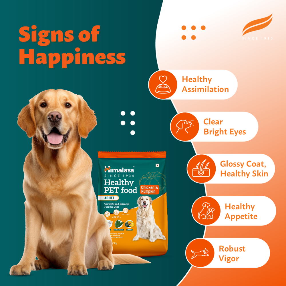 Himalaya Chicken & Pumpkin Adult Dog Dry Food image 6