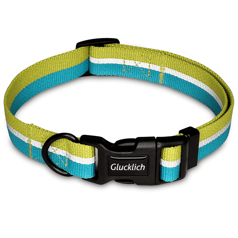 Glucklich Everyday Reflective Collar for Dogs (Mint Green) image 6