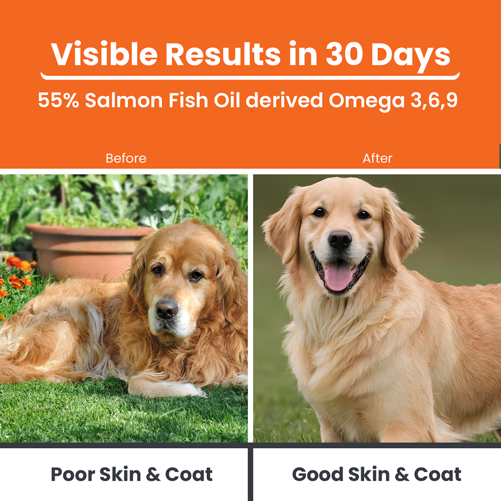 Lickicious Skin & Coat Syrup with Salmon Oil Omega 3 6 9 for Dogs & Cats image 2