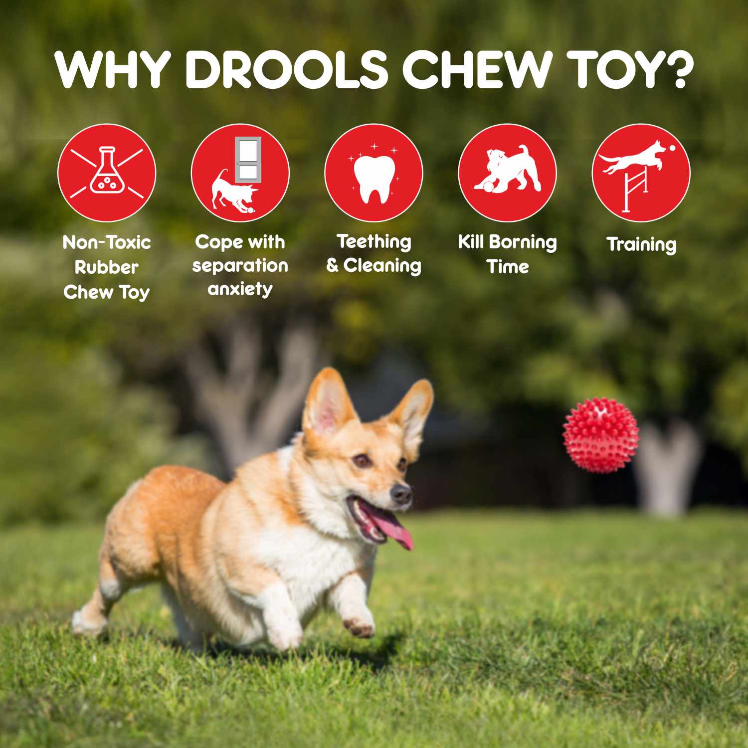 Drools Non Toxic Rubber Stud Spike Hard Ball Chew Teething Toy for Puppies and Dogs | For Aggressive Chewers image 7