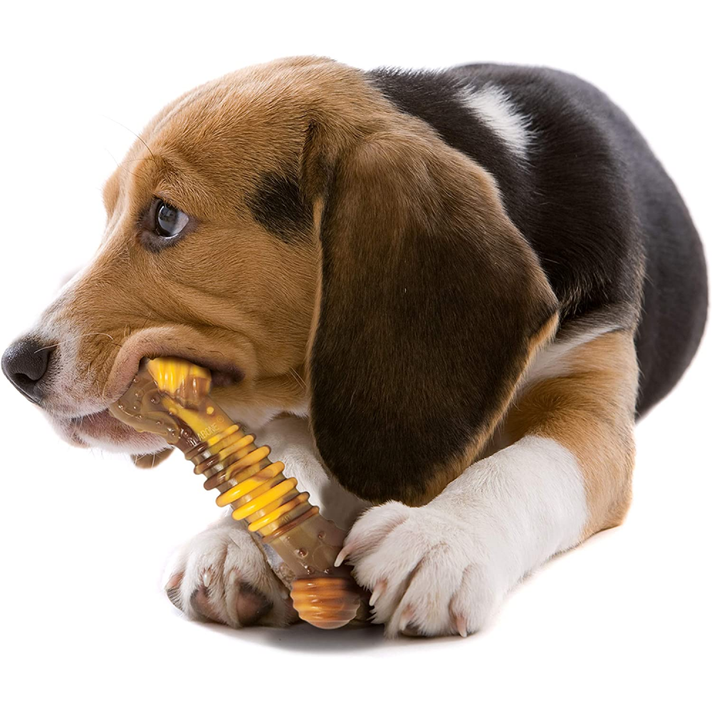 Nylabone Power Chew Flavor Frenzy Textured Bone Toy for Dogs (Yellow, Brown) image 8