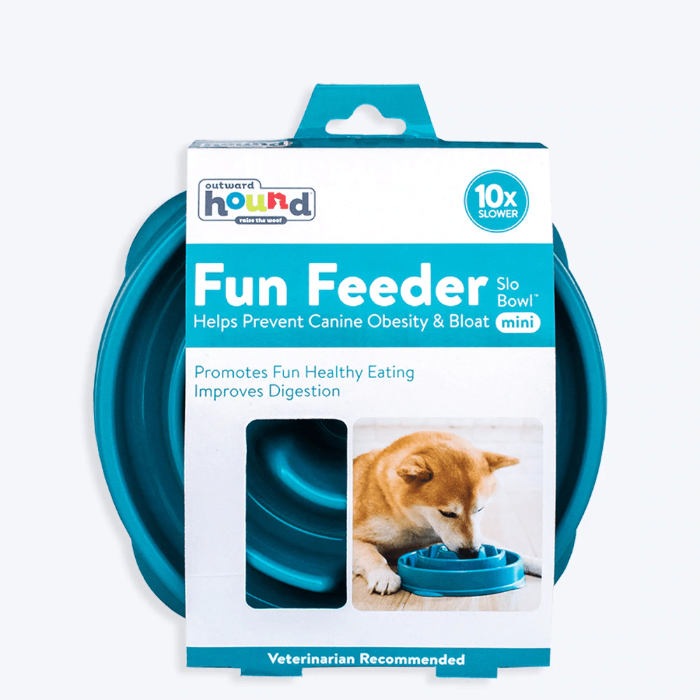 Outward Hound Fun/Slow Feeder for Dogs (Teal) image 2