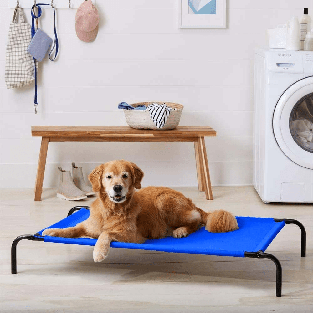 Fluffy's Pawsome Waterproof elevated Sides Camping Bed for Dogs (Blue) image 2
