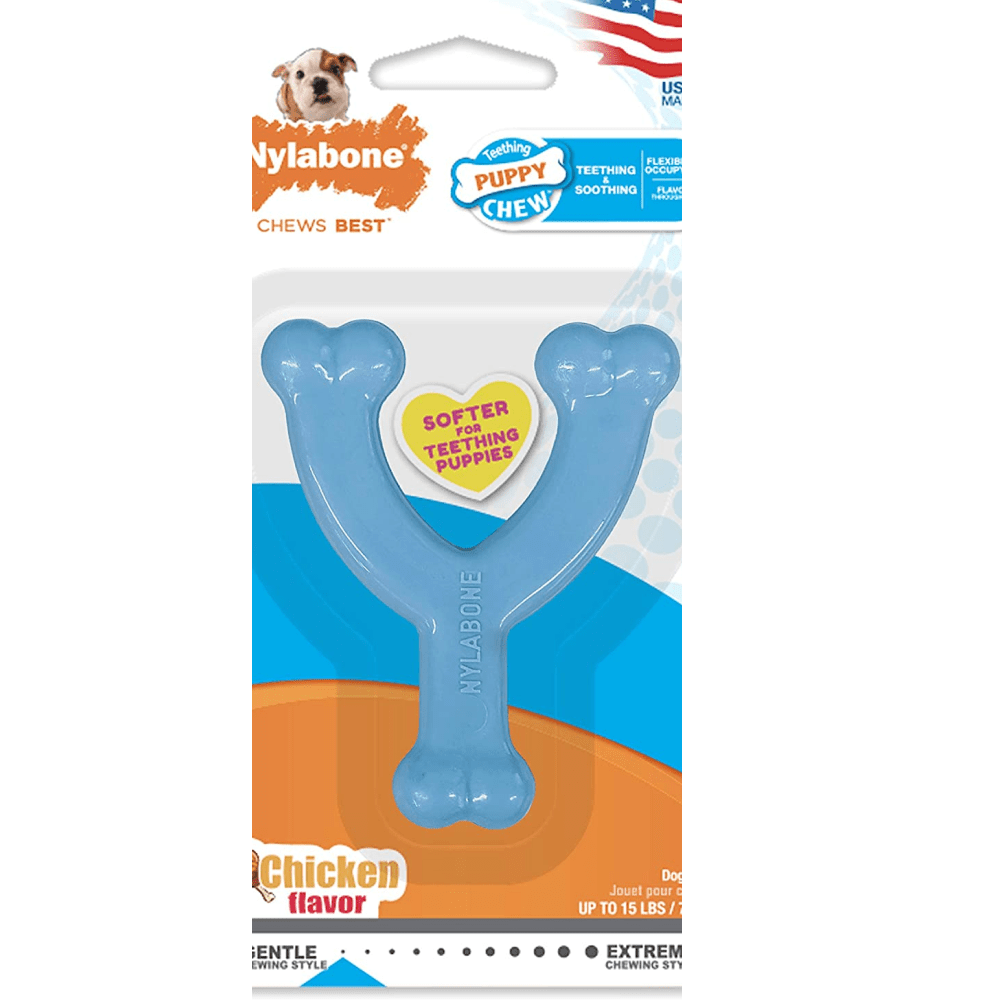 Nylabone Puppy Teething Chicken Flavoured Wish Bone Chew Toy for Dogs (Blue) image 2
