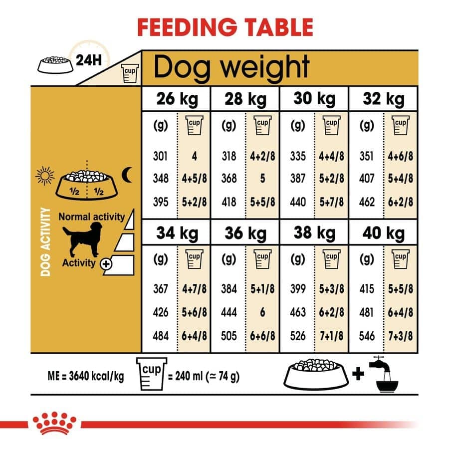 Royal Canin Labrador Retriever Adult Dog Dry Food image 5