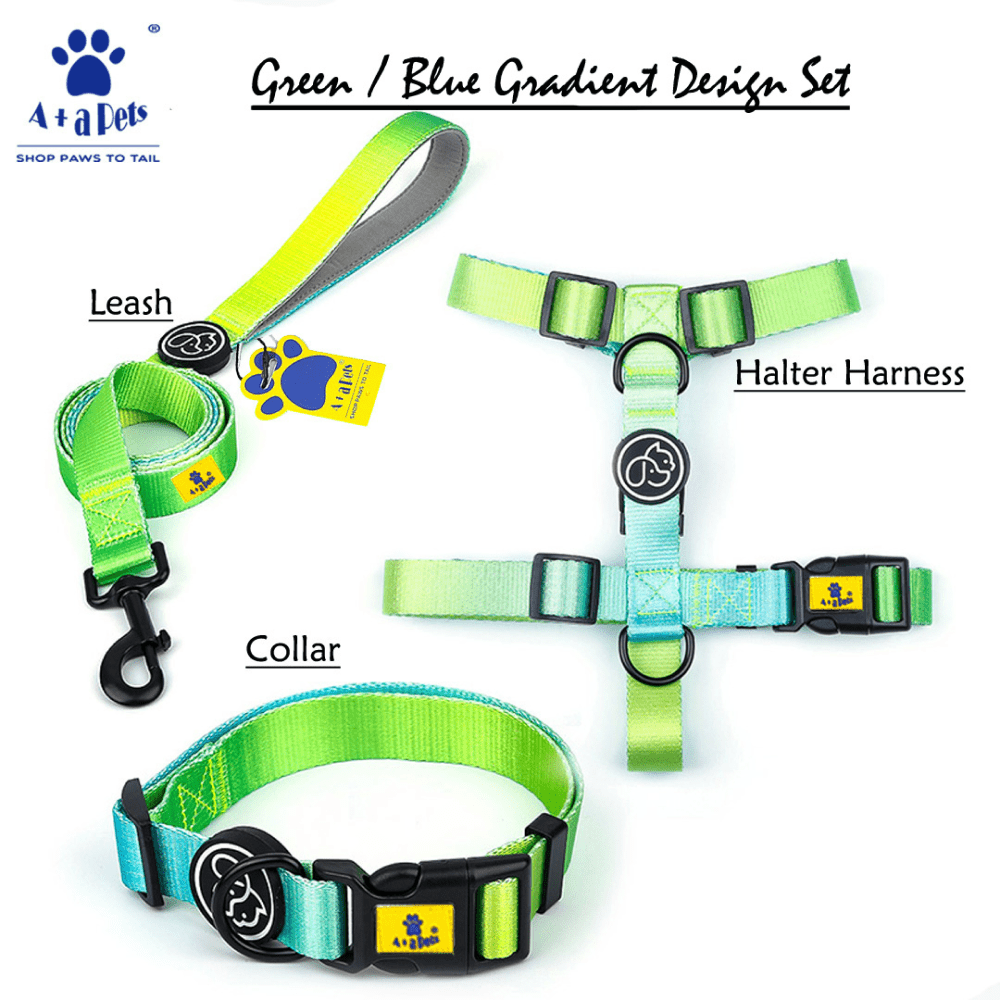 A Plus A Pets Skin Friendly Gradient Design Harness for Dogs and Cats (Green) image 4