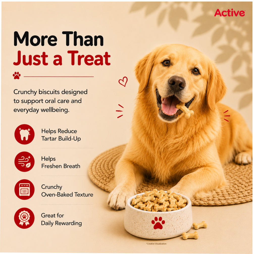 Active Chicken and Vegetables Biscuit Dog Treats (Buy 1 Get 1) image 6