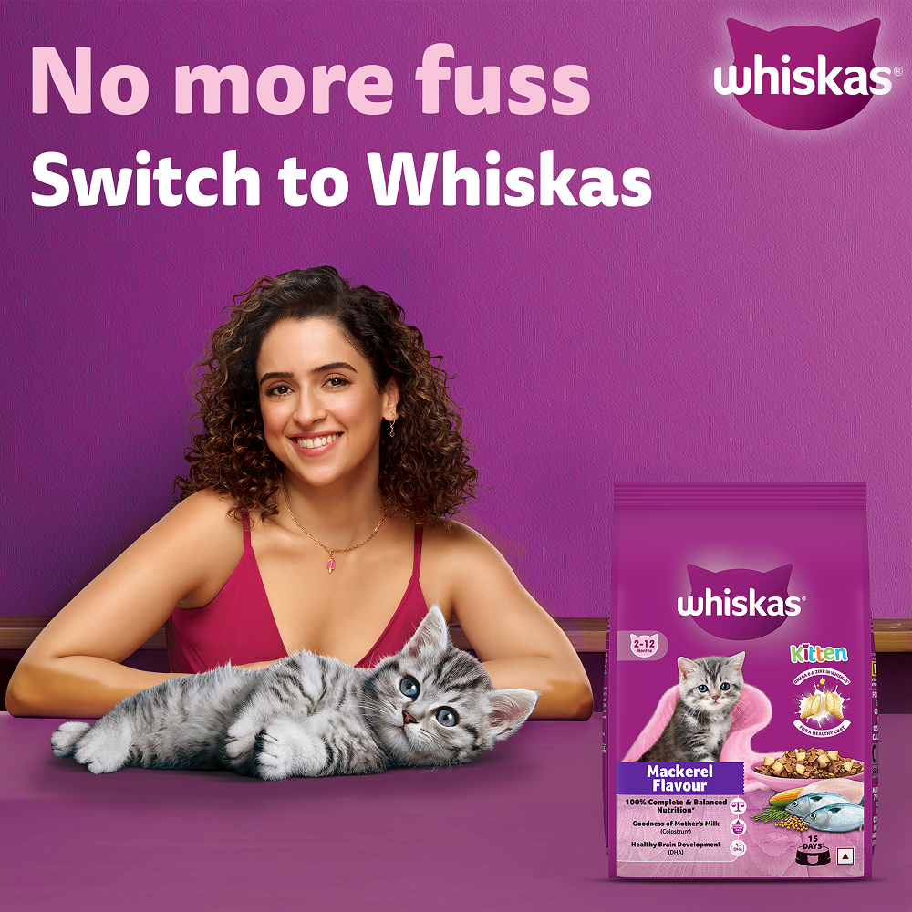 Whiskas Mackerel Flavour Kitten (2 to 12 months)Cat Dry Food image 4