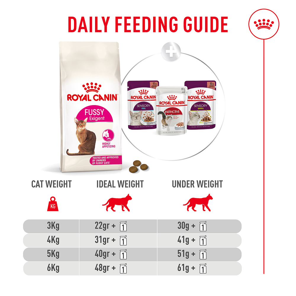 Royal Canin Fussy Exigent Cat Dry Food image 4