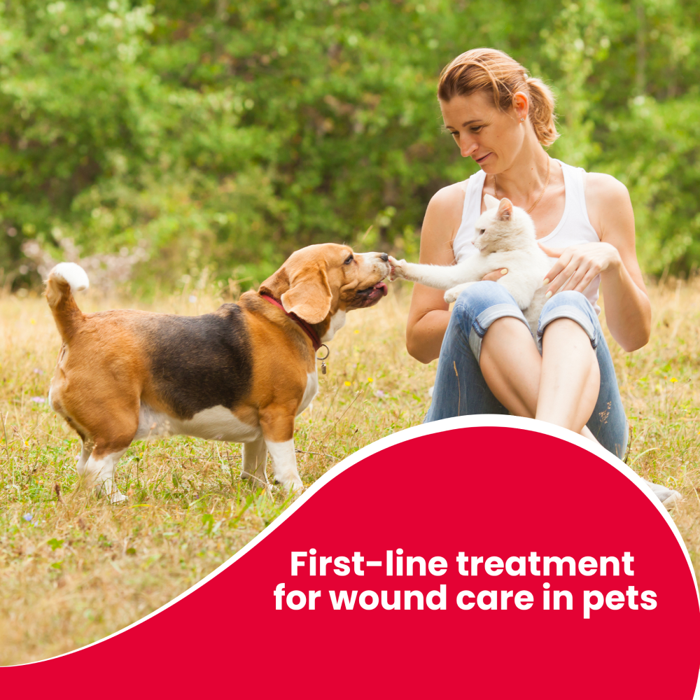 Beaphar Povidone Iodine Wound Healing Spray for Dogs and Cats image 2