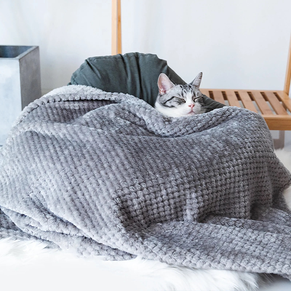 Talking Dog Club Blankies Warm Blankets for Dogs and Cats (Grey) image 4