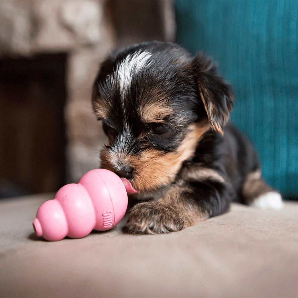 Kong Puppy Toy for Dogs (Pink) | For Aggressive Chewers image 5